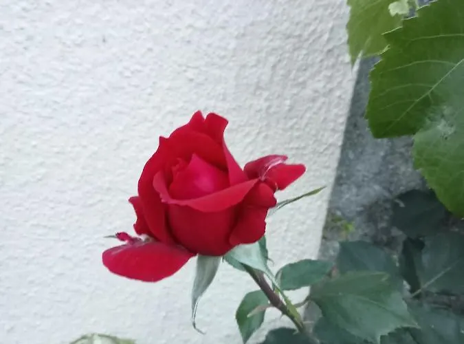 Appartamento Estudio Privado 30 Km Lisboa Gradil